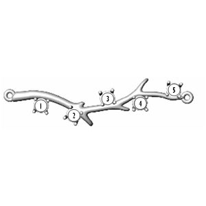 Five Stone Family Branch Necklace*